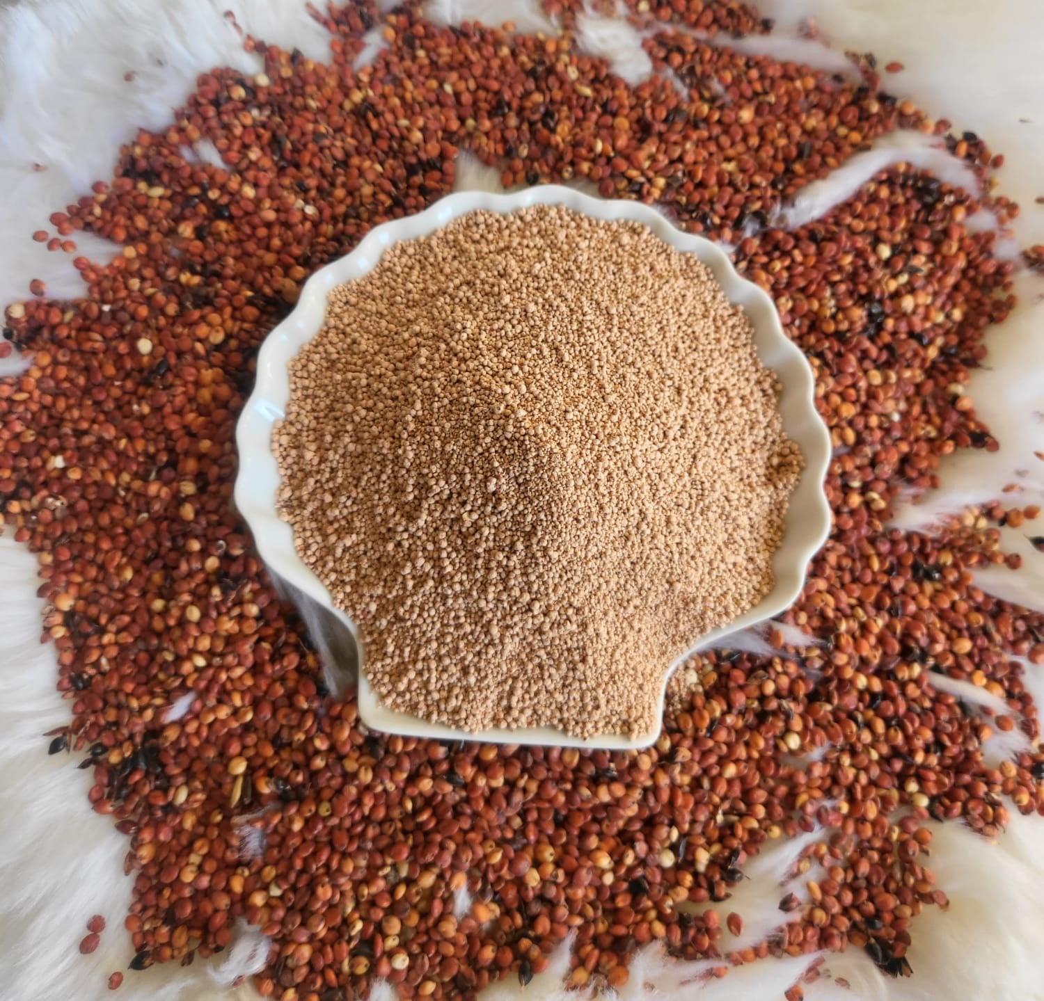 Perles de Sorgho frais et bio