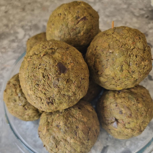 Feuilles de prunier des savanes africaines