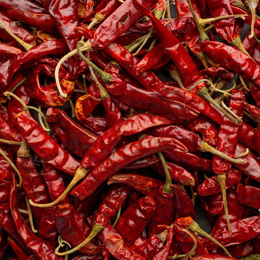 Piment avec taux élevé de capsaicine