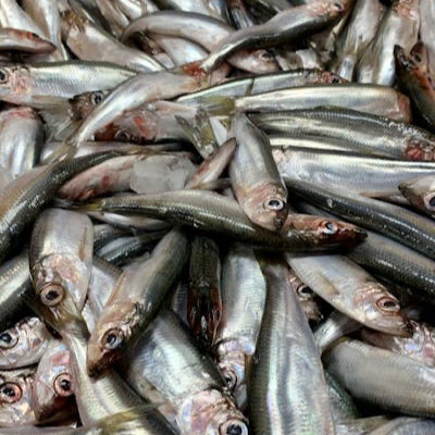 poisson d'eau douce frais